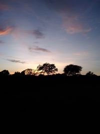 Silhouette trees against sky during sunset