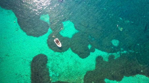 High angle view of people swimming in sea