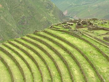 Scenic view of rural landscape