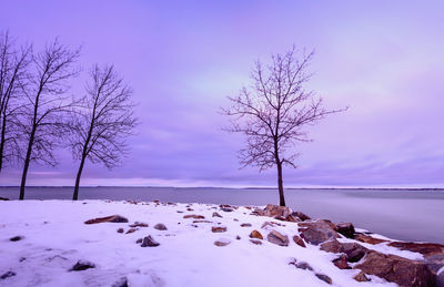 Bare trees on snow covered landscape against sky during sunset