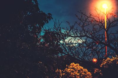 Low angle view of silhouette trees against sky at night