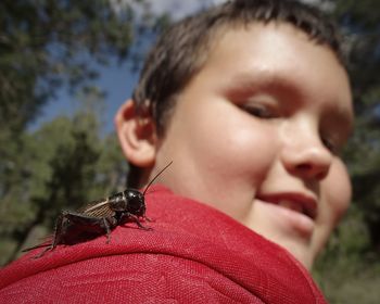 Close-up of boy with insect on shoulder