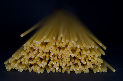 Close-up of yellow leaves over black background