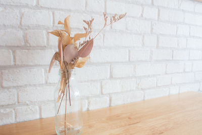 Close-up of wilted flower on table against wall