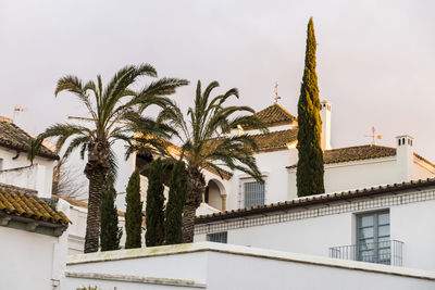 Low angle view of palm trees and building against sky