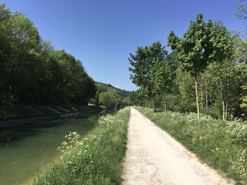 Road amidst trees against sky