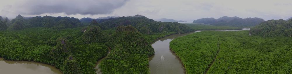 Panoramic shot of trees on landscape against sky