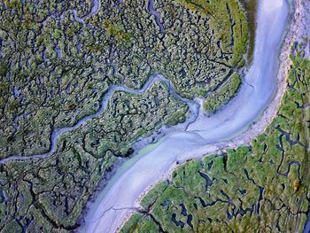 High angle view of water flowing through land