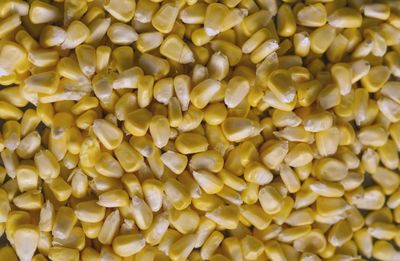 Full frame shot of yellow corns