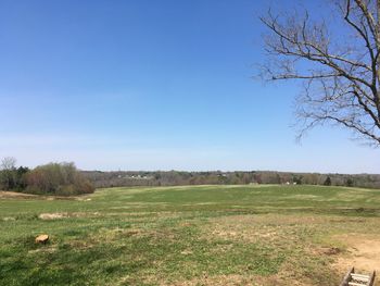 Scenic view of field against clear blue sky