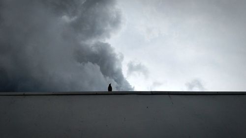 Low angle view of silhouette horse against storm clouds