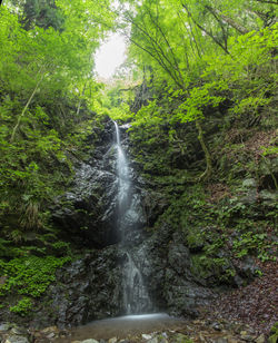 Waterfall in forest