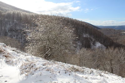Scenic view of snowcapped mountains against sky