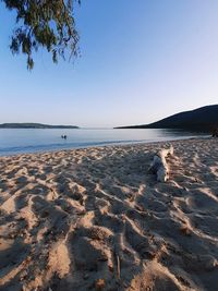 Scenic view of beach against clear blue sky