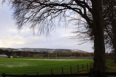 Scenic view of field against sky