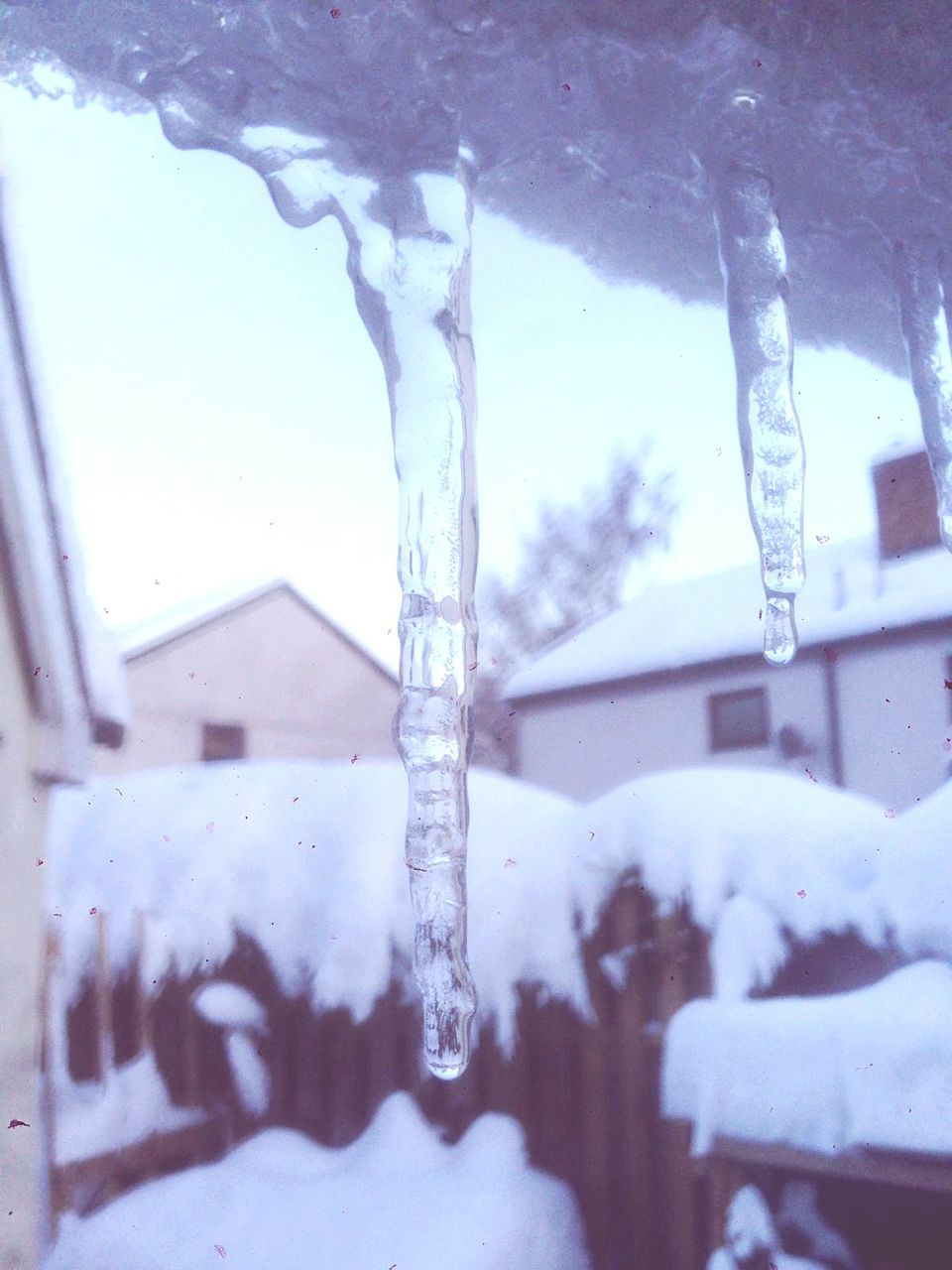 cold temperature, winter, snow, ice, frozen, weather, icicle, cold, ice crystal, dripping, frost, close-up, no people, nature, beauty in nature, melting, day, motion, water, outdoors, freshness, sky