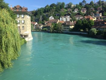 River amidst buildings and trees against sky