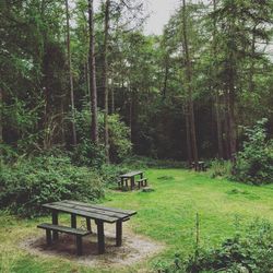 Scenic view of green landscape