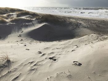 Scenic view of beach