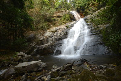 Scenic view of waterfall in forest