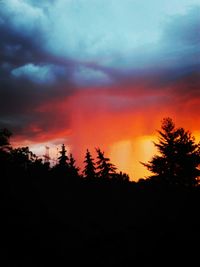 Silhouette of trees at sunset