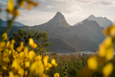 mountain