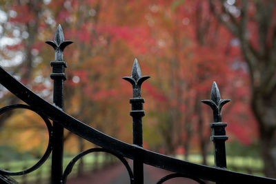 Close-up of metal fence during autumn