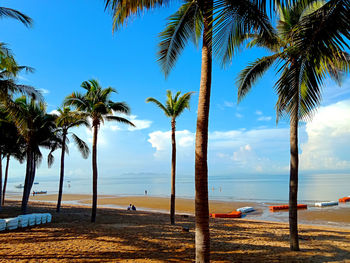 Palm trees on beach against sky