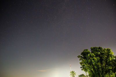 Low angle view of trees against sky at night