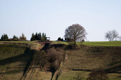 Trees on field against clear sky