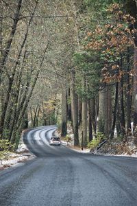 Car on road amidst trees in forest