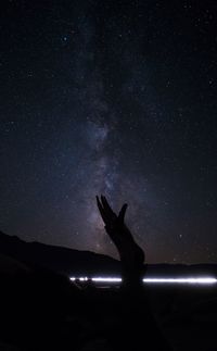 Silhouette dead tree by light trail against star field at mesquite flat sand dunes