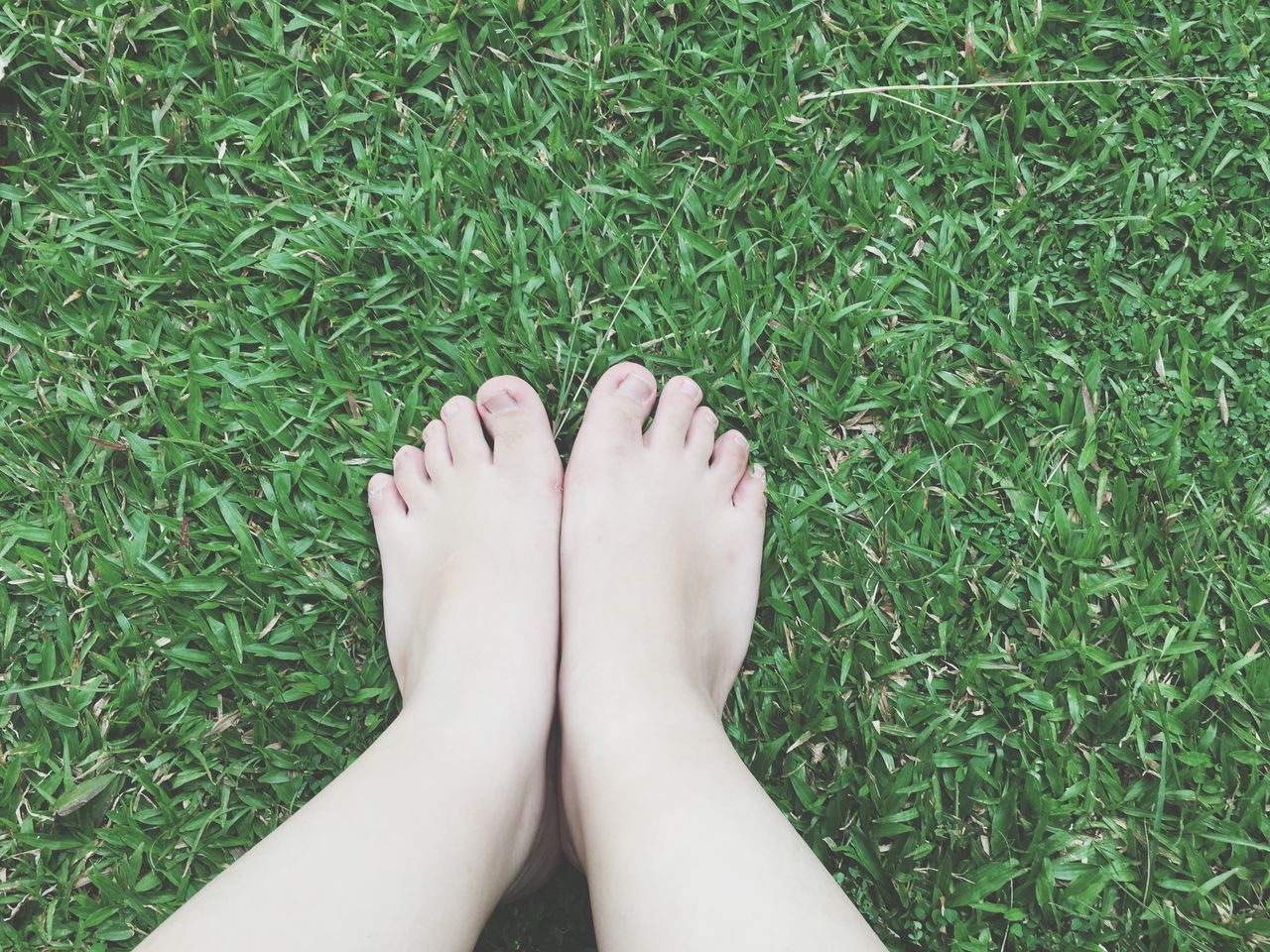 low section, person, personal perspective, grass, human foot, lifestyles, barefoot, shoe, grassy, leisure activity, high angle view, part of, field, relaxation, standing, legs crossed at ankle