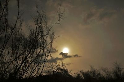 Low angle view of silhouette trees against sky at sunset