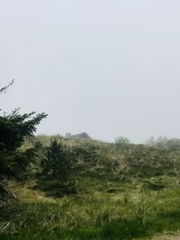 Trees on field against clear sky