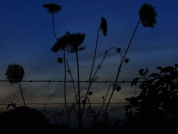 Low angle view of silhouette trees against sky