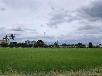 Scenic view of field against sky