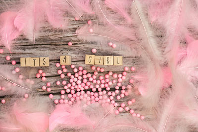 Digital composite image of text on pink flower