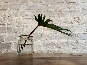 Close-up of shadow on brick wall