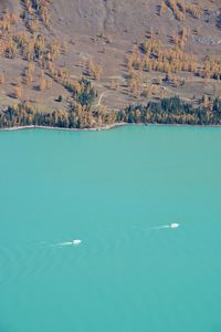 Aerial view of sea