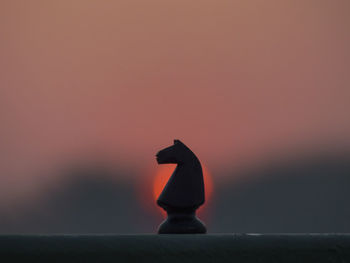 Side view of a silhouette bird against sunset sky