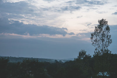 Scenic view of forest against sky during sunset