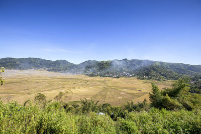 Scenic view of field against clear blue sky