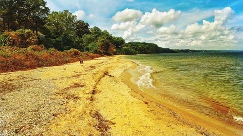 Scenic view of beach against sky