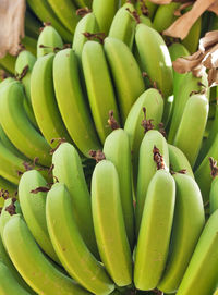 Close-up of bananas