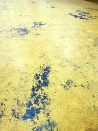 High angle view of footprints on puddle