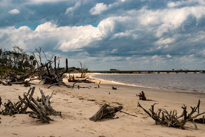 Scenic view of beach against sky