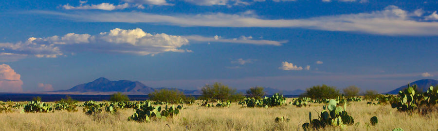 Panoramic view of field against sky