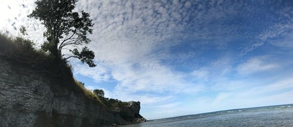 Low angle view of trees by sea against sky