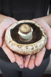 Close-up of man holding ice cream